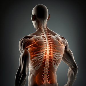 Functional Restoration Program Treats Back Pain Issues